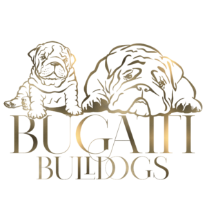 Bugatti Bulldogs